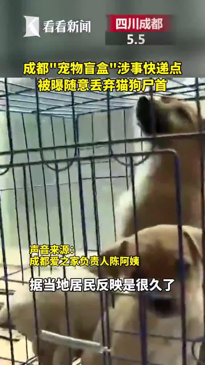 视频｜“宠物盲盒”涉事快递点被曝随意丢弃猫狗尸首