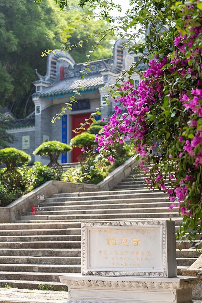 这个五一来点特别的,去六祖惠能故里,开启一场神奇的禅修之旅