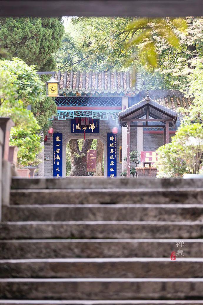这个五一来点特别的,去六祖惠能故里,开启一场神奇的禅修之旅