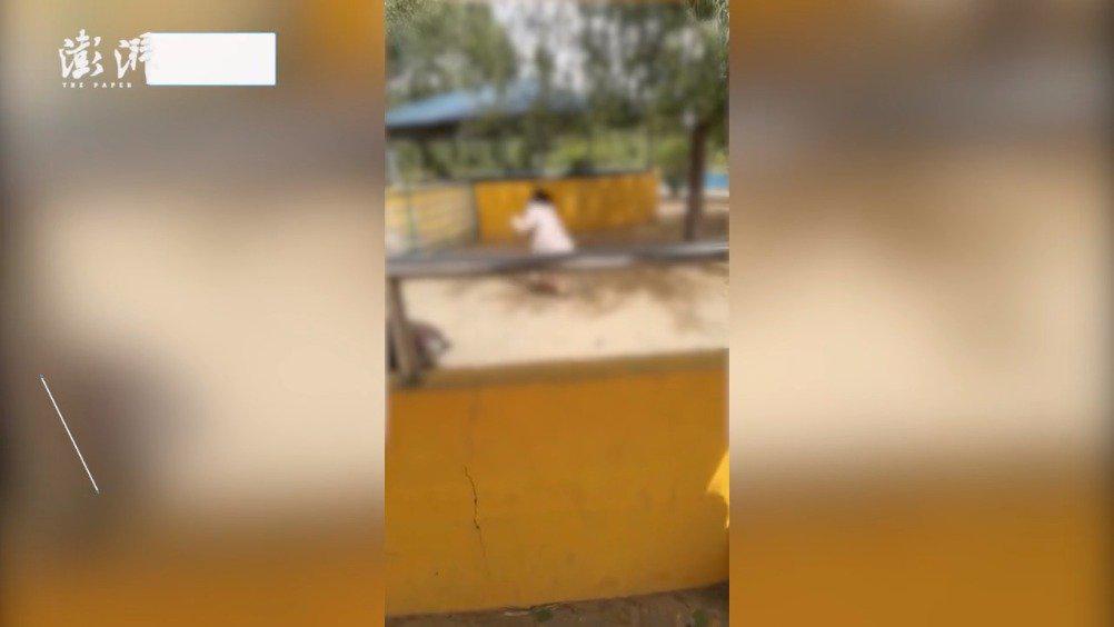 园方回应女子跳进鸵鸟圈偷蛋