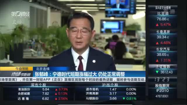 张郁峰：宁德时代短期涨幅过大 仍处正常调整
