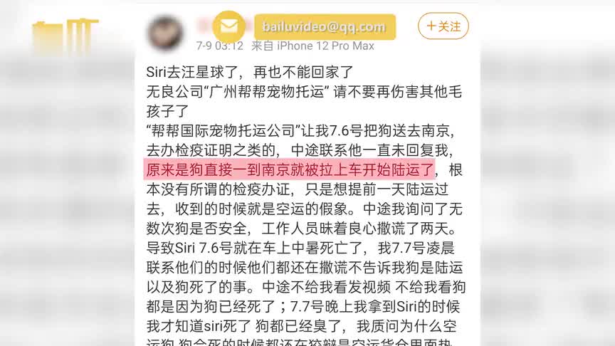 宠物托运中暑致死 数万网友为金毛Siri应援发声