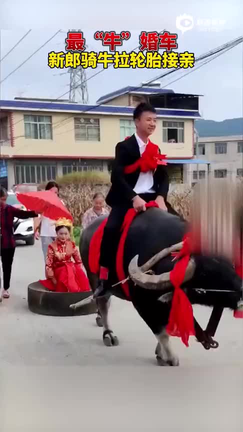 小伙骑牛拉轮胎接亲