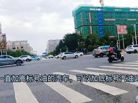 一直加高标号油的汽车，可以加低标号汽油吗？