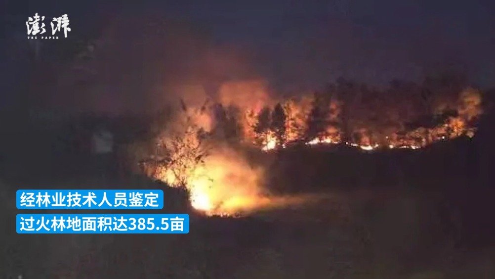 开荒烧秸秆引发森林火灾