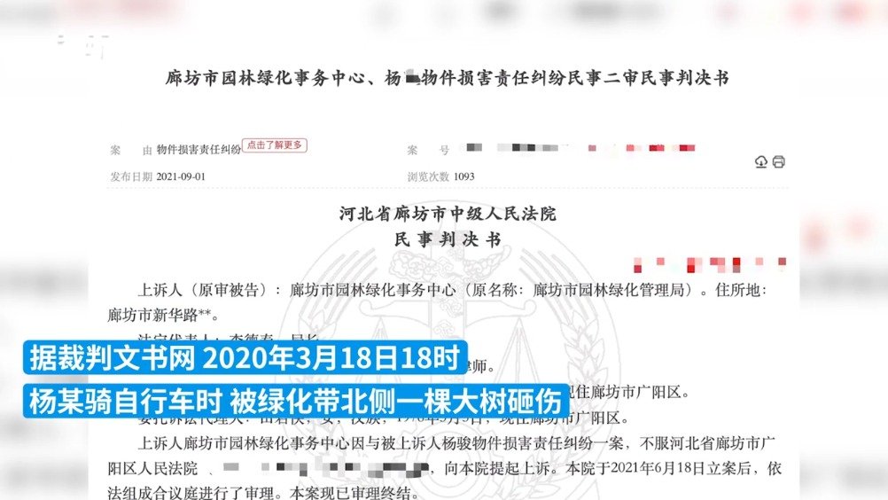 男子被绿化树砸伤致残