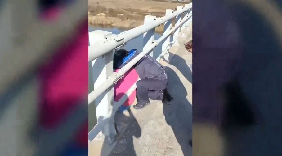 女孩跳桥被公交司机一把抱住