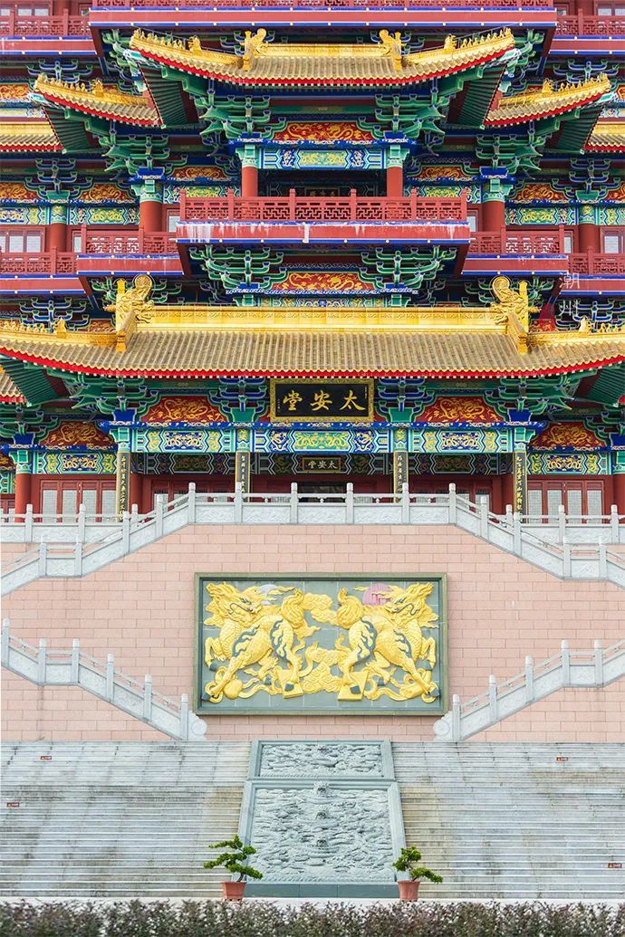 一个中医老字号,建了一座“中医药第一楼”,竟暗含九五之尊之意