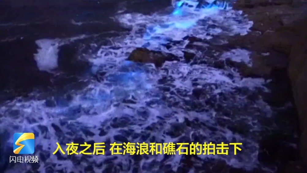 绝美！山东威海现绝美荧光海