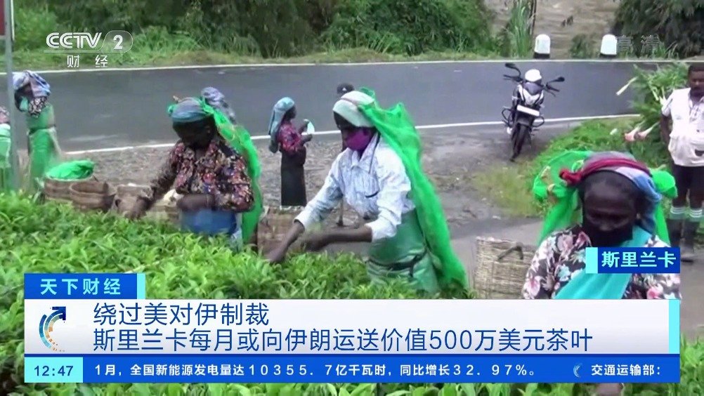 斯里兰卡用茶叶还石油债务