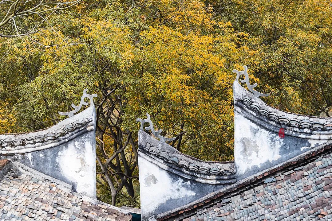 丹霞山石中,竟藏着一个粉色的千年古刹,《爱莲说》就在此写成