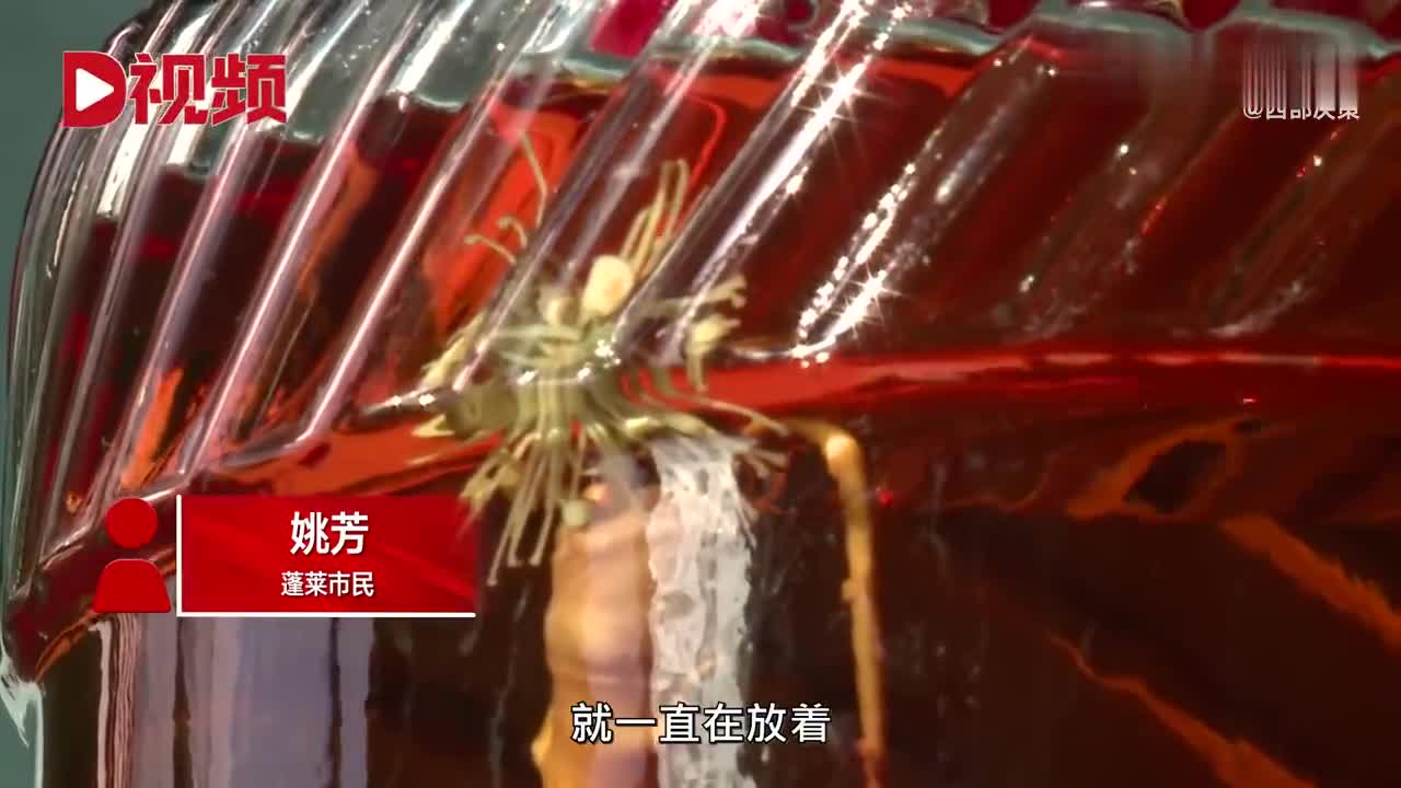 干人参泡酒后开花