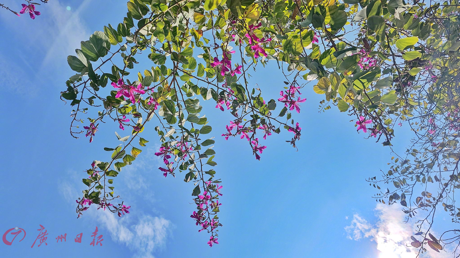 开心晒太阳的图片大全 ce69-eeea018260ce939c663f91e7145fa456.jpg