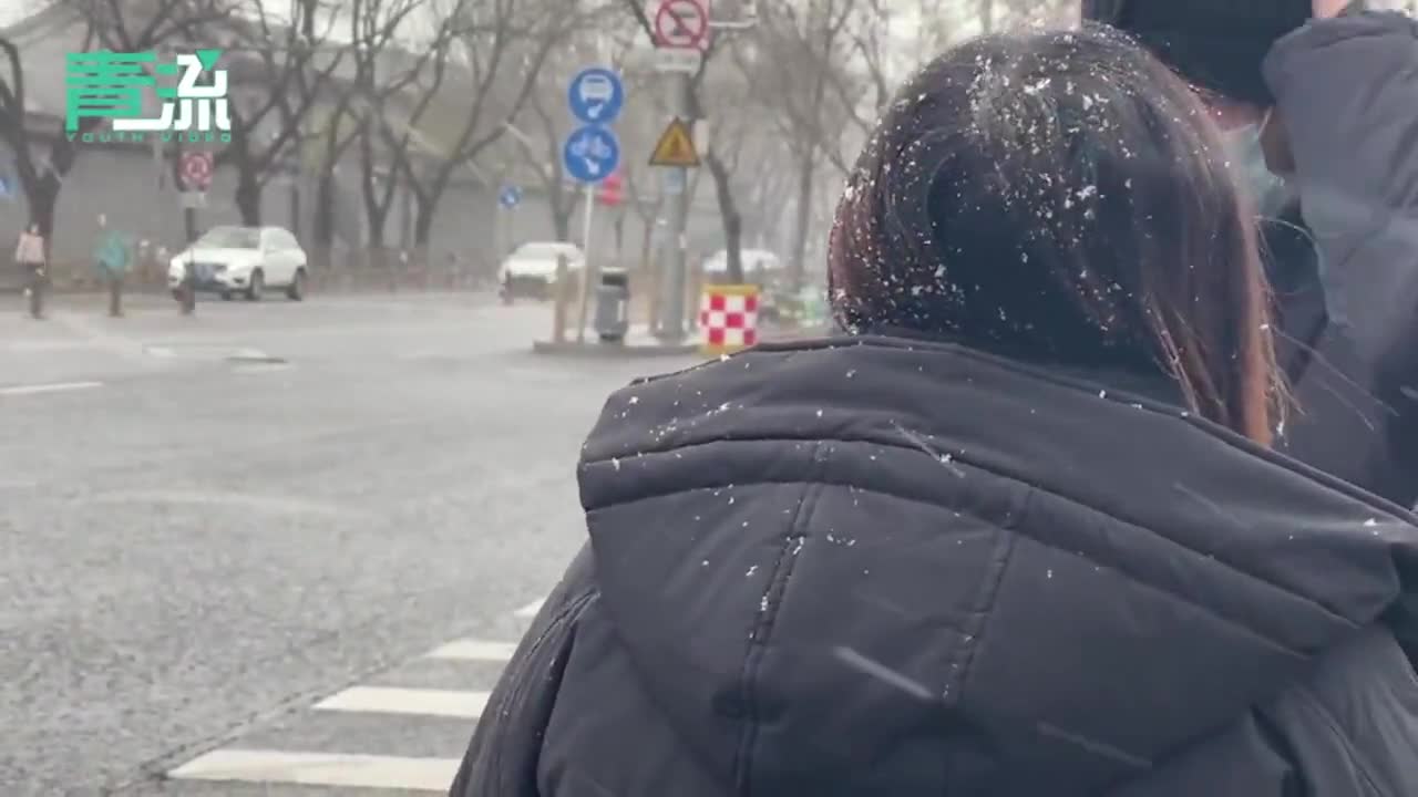 北京下雪体验片刻间“白头”