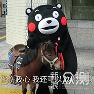 二手的超值之选：小米10S体验报告_新浪众测