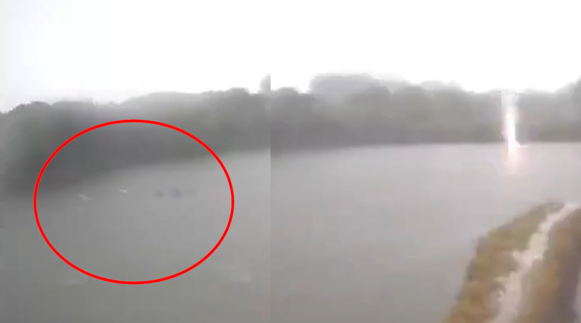 闪电击中鱼塘大量鱼跳出水面