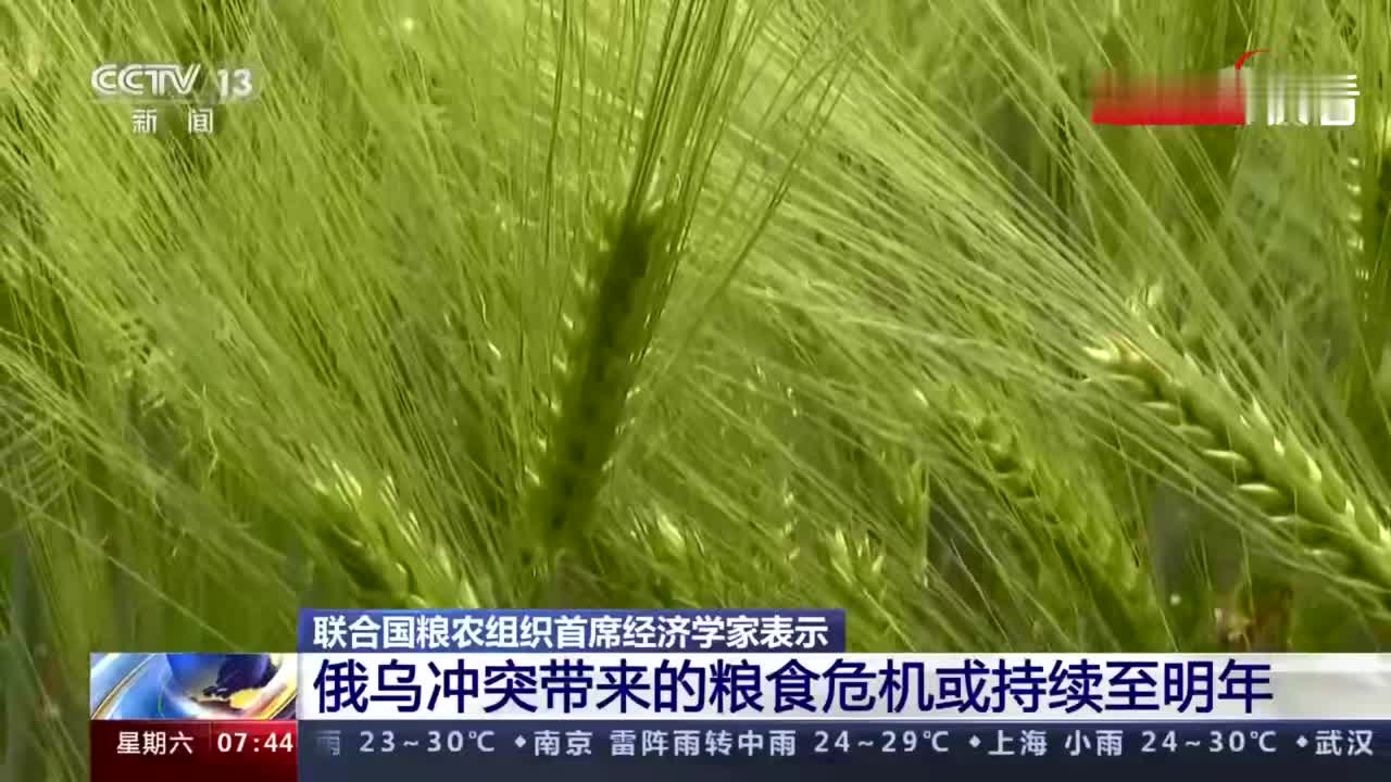 联合国专家称俄乌冲突带来的粮食危机或持续至明年