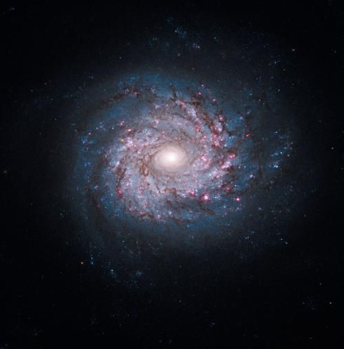 研究显示岩石行星可以在不同的重元素丰度环境下产生,这就意味着在更大的范围内都有可能存在宜居行星,这也大大增加了宇宙中生命存在的可能性 研究显示岩石行星可以在不同的重元素丰度环境下产生,这就意味着在更大的范围内都有可能存在宜居行星,这也大大增加了宇宙中生命存在的可能性
