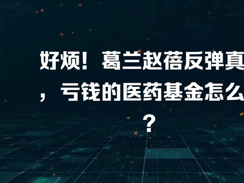 好烦葛兰赵蓓反弹真慢医药基金还在亏钱怎么办