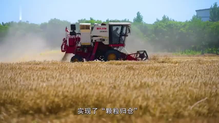 蓟州夏粮喜获19连丰 打出“组合拳”助农民增产增收
