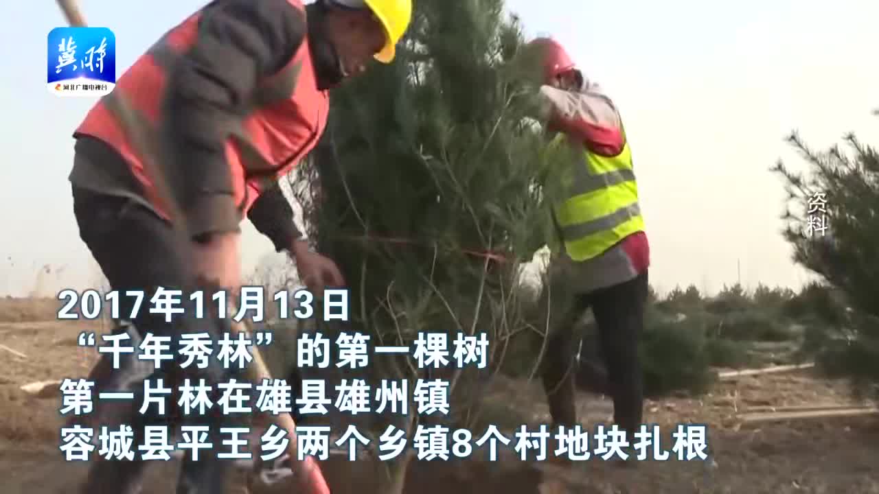 微视频｜千年秀林种在家门口 “大氧吧”里的幸福生