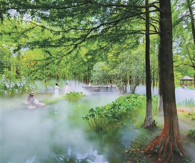 绿树成荫雾气氤氲 宁波日湖公园出现“仙境森林”
