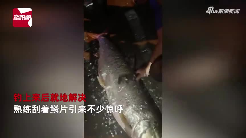 钓友钓到68斤鳡鱼