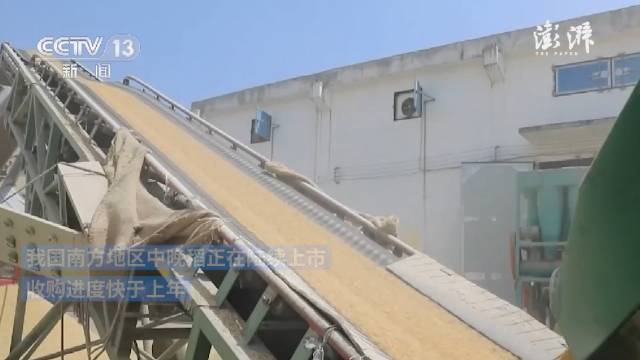 我国南方中晚稻上市