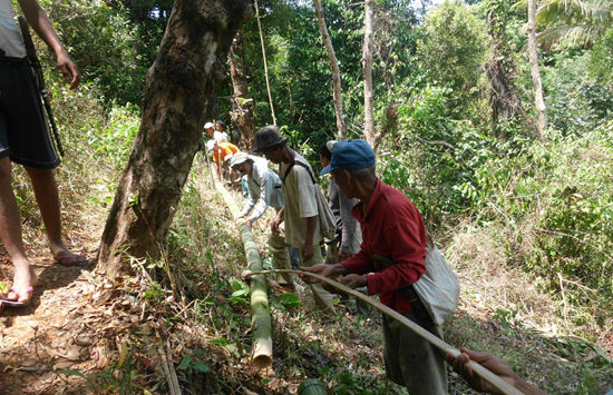 爪哇犀牛保育工作小组正在建设保育区附近的供水系统