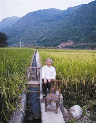 白柳镇，87岁的柳树珍在水稻田边。她的老伴去世，儿子在外打工。