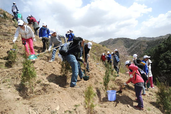 志愿者在山坡上种下手机回收环保林