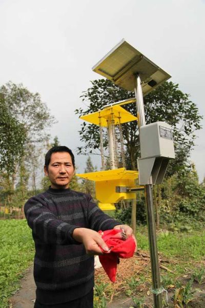 李学友展示太阳能捕虫器捕的虫 李学友展示太阳能捕虫器捕的虫