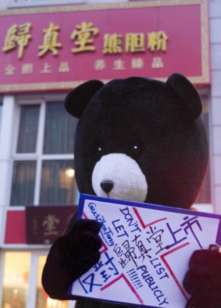 图为北京爱心人士扮熊反对活熊取胆。 图为北京爱心人士扮熊反对活熊取胆。