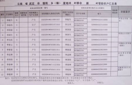 武定县猫街镇麦地冲村委会新村农户汇总表