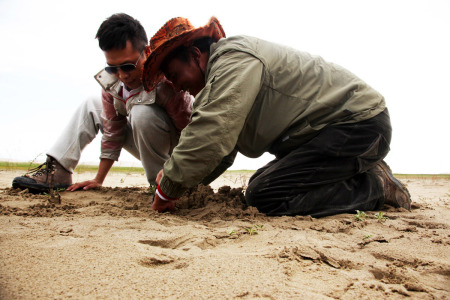 著名演员张译(左)与当地藏民南加(右)一起在沙丘上种树