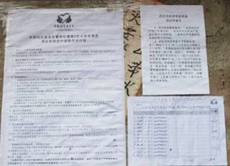 武定县插甸乡二台坡村张贴的项目宣传报及公示待资助农户名单