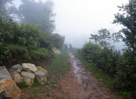 雨中我们前进的道路