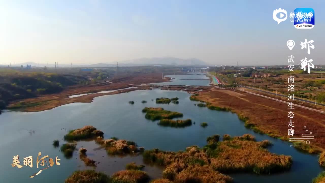 【微视频】美丽河北 | 天蓝水碧候鸟飞 南洺河畔生态美