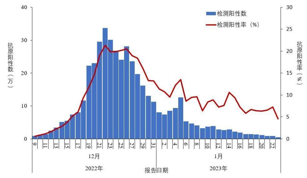 全国报告人群新型冠状病毒抗原检测阳性数及阳性率变化趋势。中国疾病预防控制中心 图