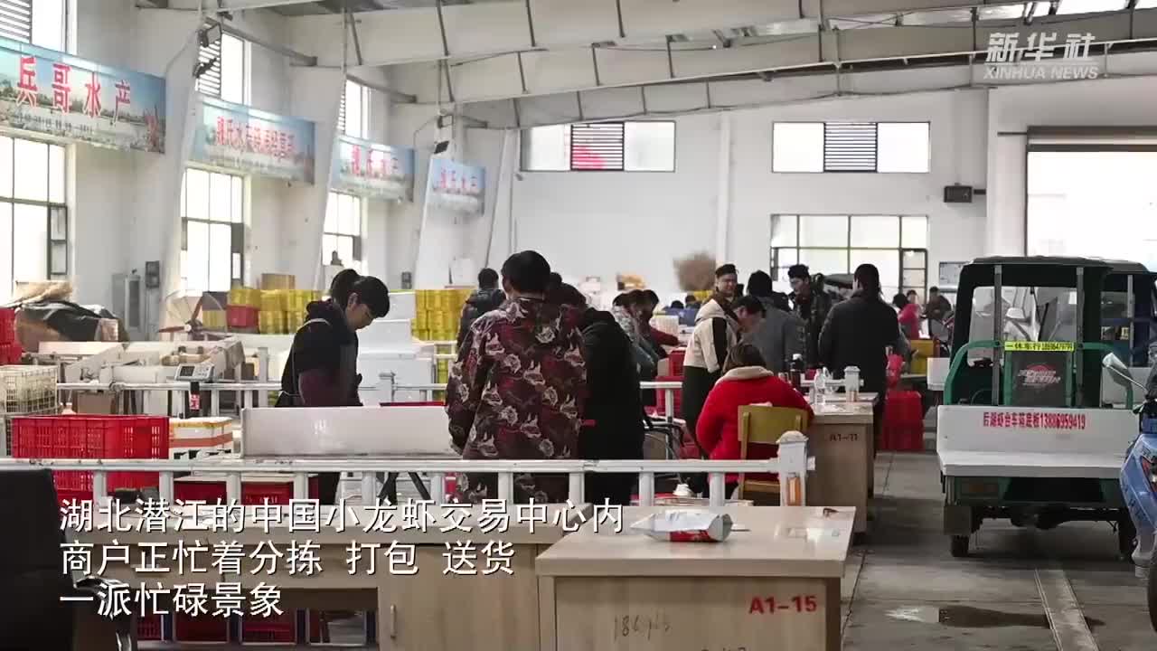湖北潛江：小龍蝦搶“鮮”上市