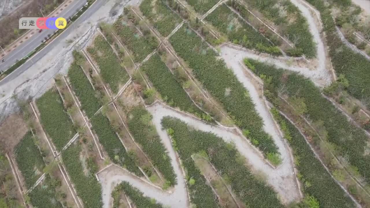 行走京津冀 | 天津蓟州，废弃矿坑变身“生态课堂”