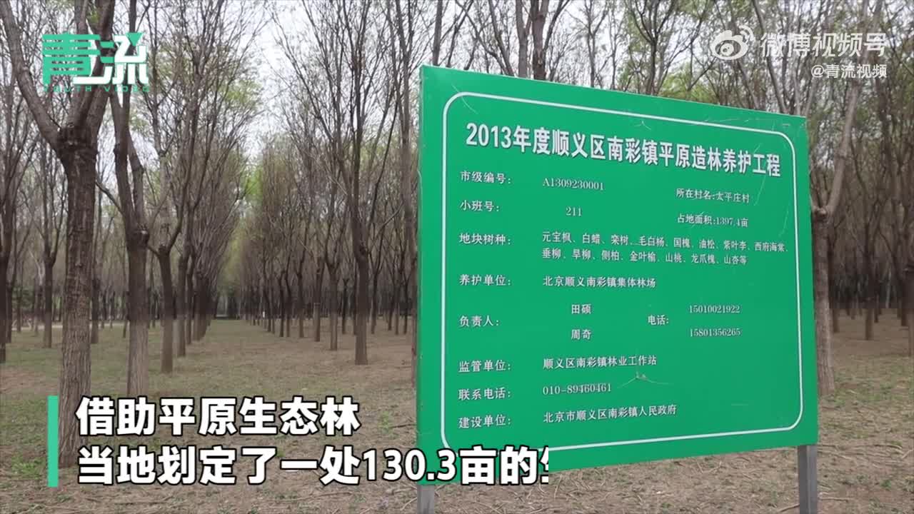 北京已建成225处生态保育小区 有望成为野生动物的“天堂”