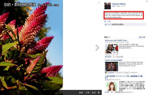 FaceBook流传索尼NEX-7R首张样张曝光