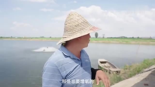 武漢：多舉措保障農(nóng)業(yè)水產(chǎn)養(yǎng)殖穩(wěn)定用電