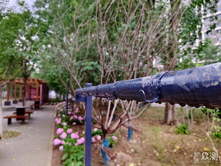 秋雨秋涼之手機攝影記錄雨後公園的特別風景_新浪眾測