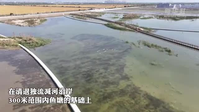 天津：河岸美如画 秋日引“客”来