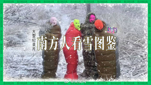 南方人看雪图鉴
