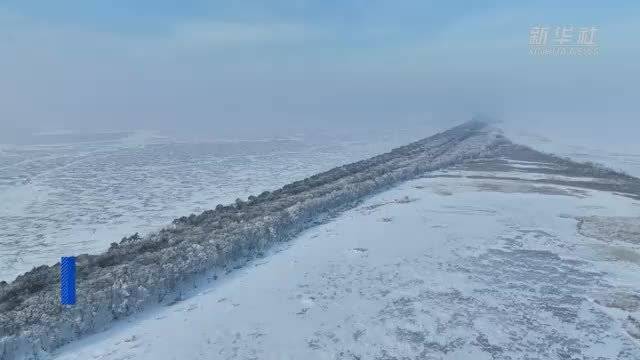 黑龙江玉树琼花惹人醉