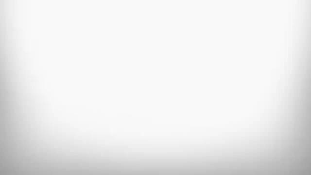 老字号“新生”记