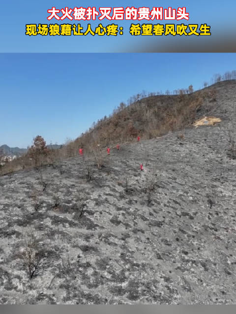 大火被扑灭后的贵州山头